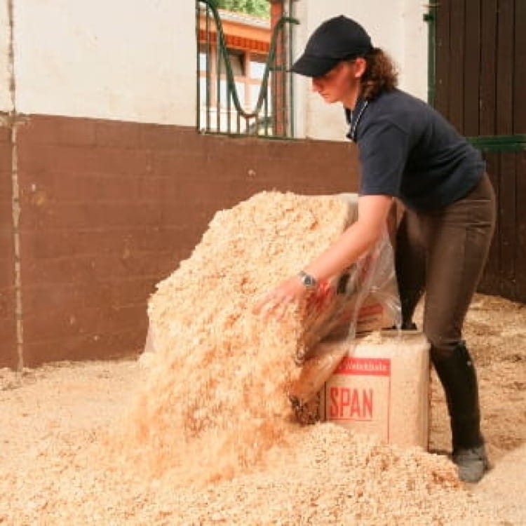 Antyalergiczna ściółka wiórowa dla koni.jpg