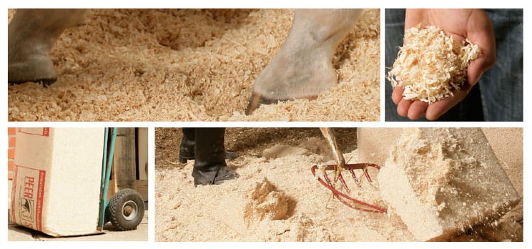 Odpylone niealgizujące Wióry Peer-Span dla koni.png