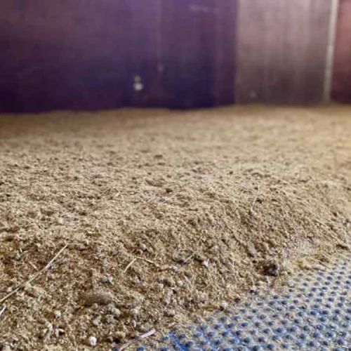 pellet ze słomy zaścielony w boksie.webp