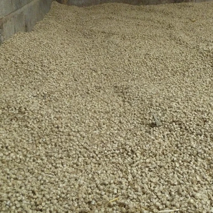 pellet ze słomy w boksie dla bydła.webp