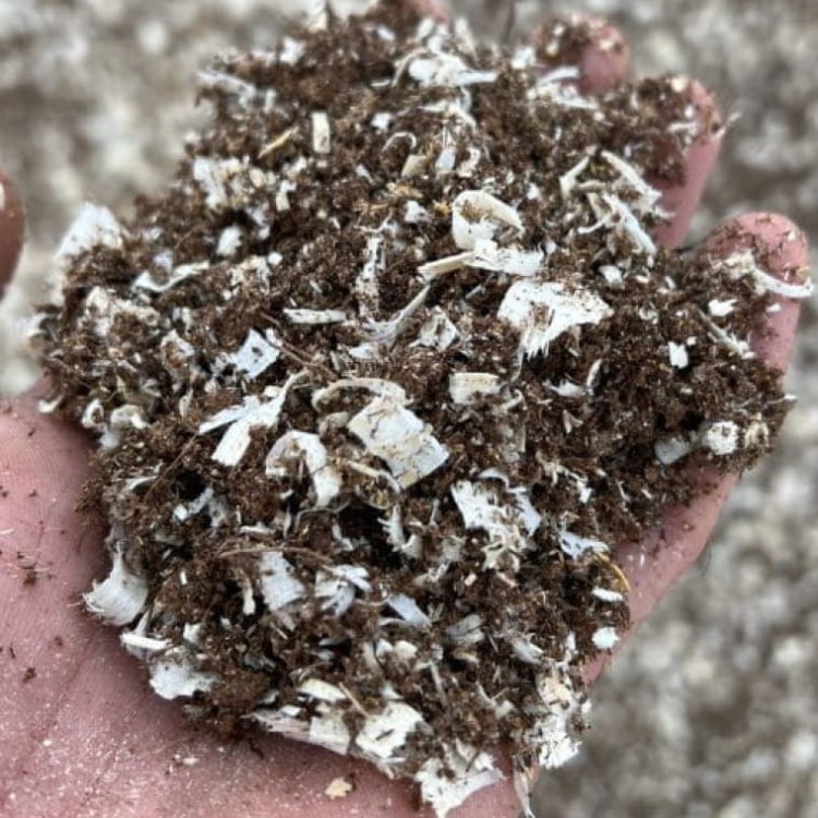 torf z wiórami drzewnymi.jpg