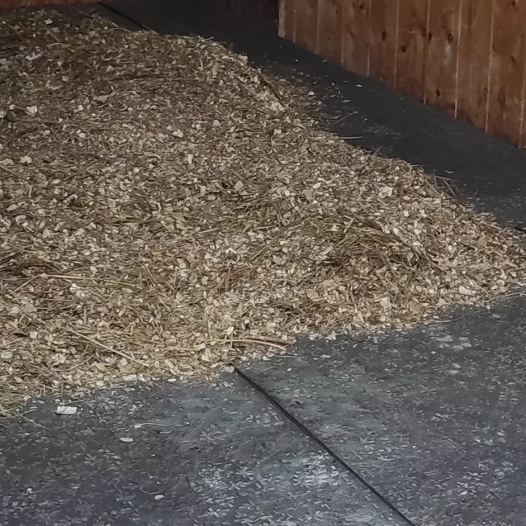 ściółka na matach w boksie dla konia.webp