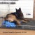 mata do kennel klatki