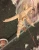 Spanvall-dobostan-stóp-drobiu.webp