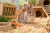 krolik-IA.webp