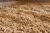 pellet-drzewny-dla-koni-sciolka-IA.webp