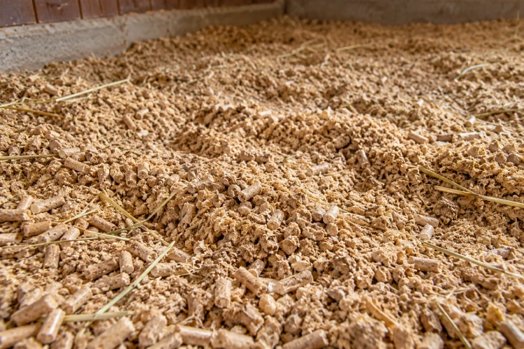pellet-drzewny-dla-koni-sciolka-IA.webp