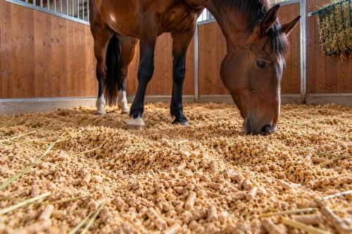 pellet-drzewny-kon-boks-siano-IA.webp