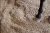 pellet-drzewny-w-boksie-IA.webp