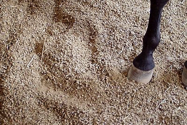 pellet-drzewny-w-boksie-IA.webp