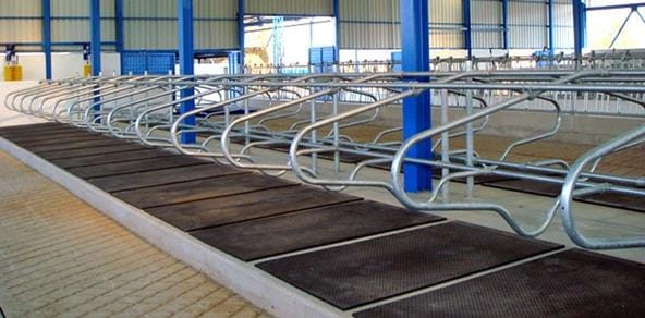 dezynfekcja na farmie.jpg