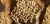pellet_sosnowy_konie.png