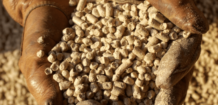 pellet_sosnowy_konie.png