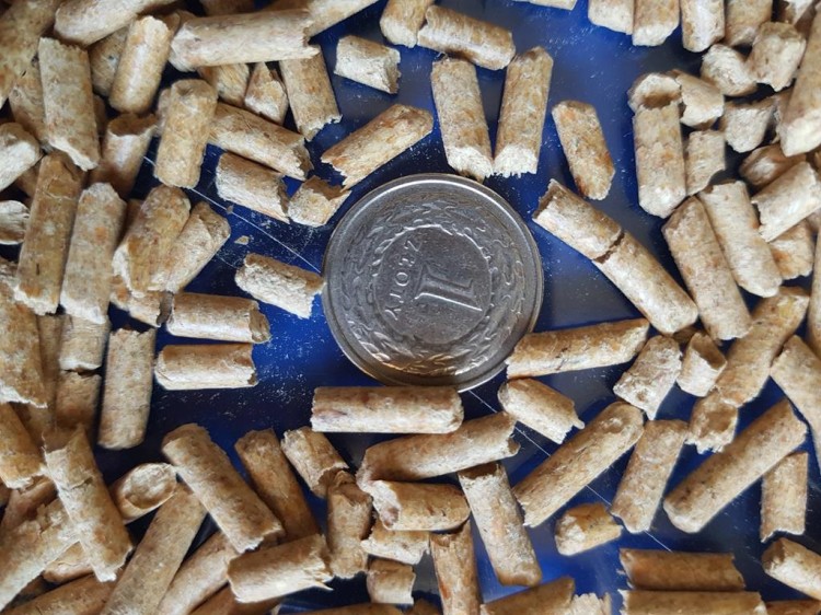 drobny żwierek drzewny dla małych zwierząt