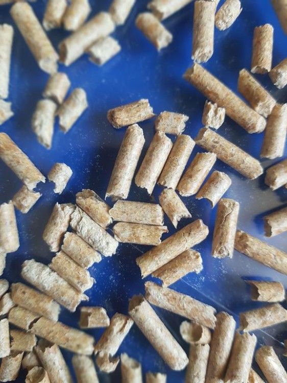 drobny żwirek drzewny 4 mm dla myszy szczurów królików