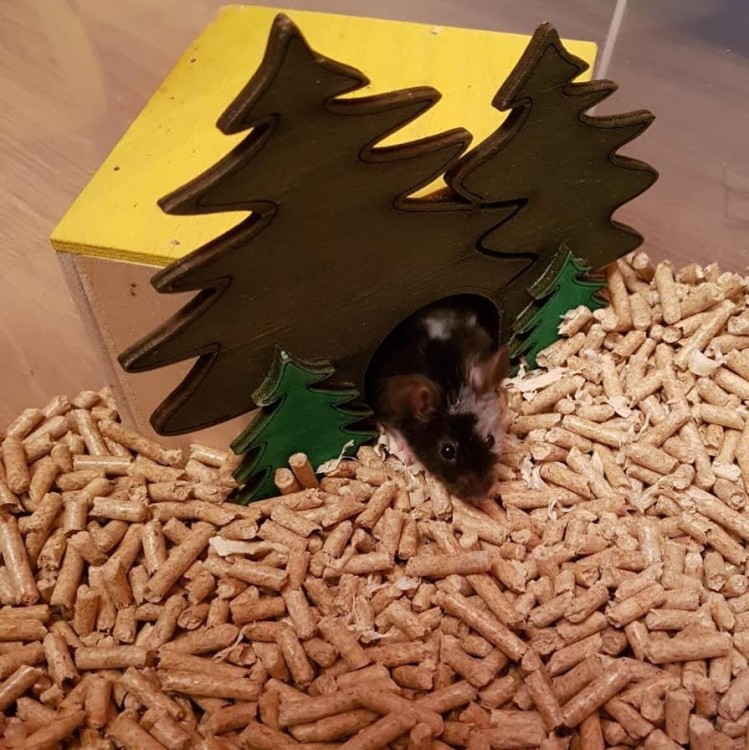 drobny pellet drzewny dla myszy