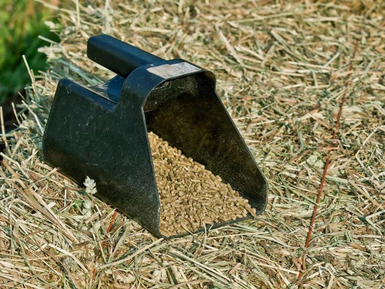 granulat siana dla kkoni i bydła.jpg