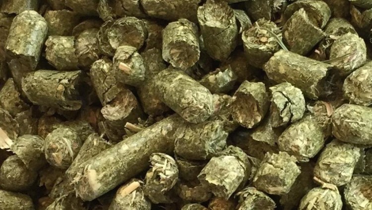 Trawokulki Premium dla koni.jpg