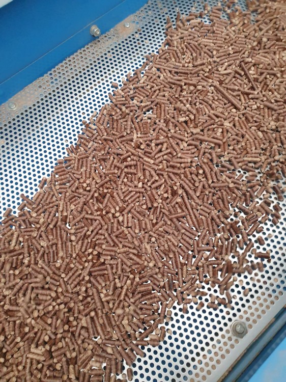 Hipoalergiczny pellet bukowo-ochowy dla koni.jpeg