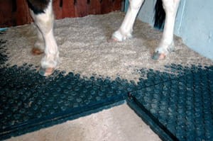 stallmatte-pferde_300.jpg
