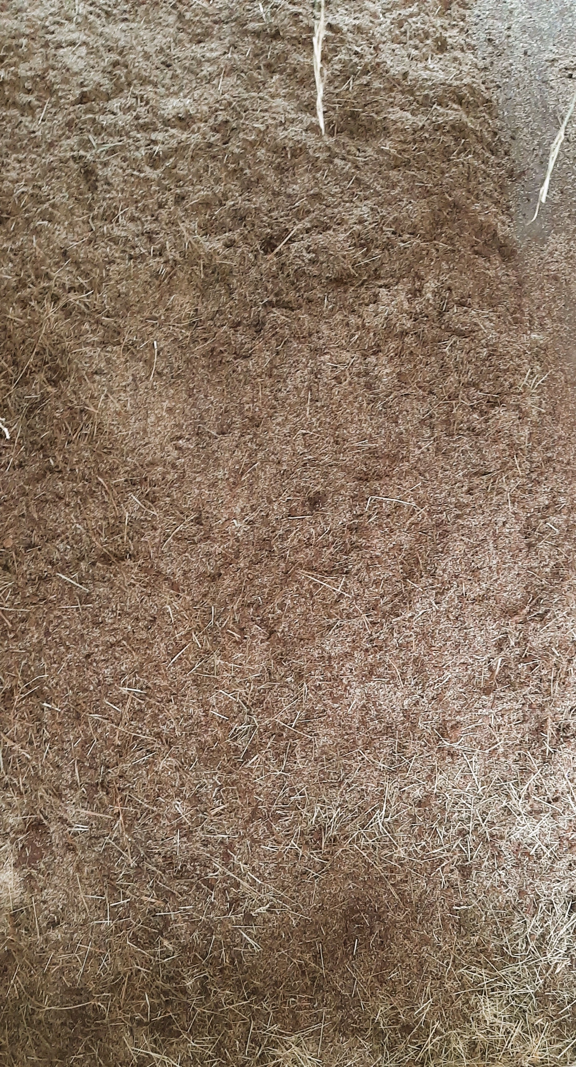 mieszanka torfu z sieczką słomy lnianej dla koni